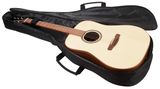 AMUMU Acoustic Guitar Bag