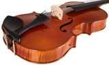 BACIO INSTRUMENTS AA50 Concert Viola 16