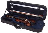 BACIO INSTRUMENTS Moderate Violin 1/2