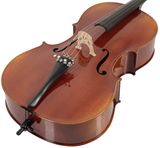 BACIO INSTRUMENTS Professional Cello Antique (ACA300) 4/4