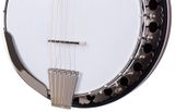 DEERING Boston 6 String Banjo
