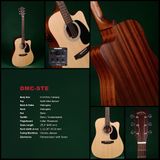 Sigma Guitars DMC-STE