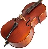 EASTMAN Andreas Eastman Master Cello 4/4 (VC605)