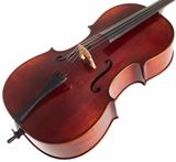 EASTMAN Ivan Dunov Cello 4/4 (VC401 )