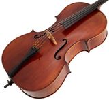 EASTMAN Rudoulf Doetsch Cello 4/4 (VC701G )