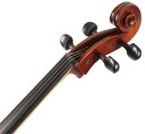 EASTMAN Rudoulf Doetsch Cello 4/4 (VC701G )